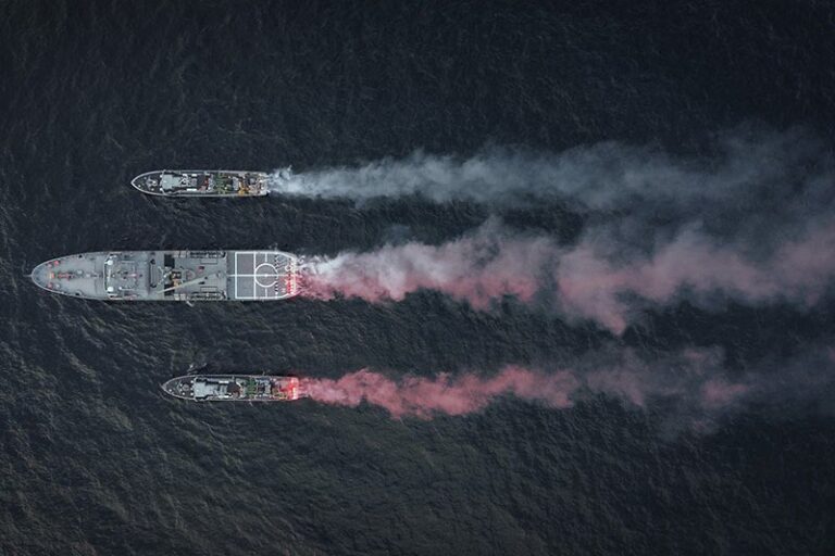 Parada okrętów wojennych na Bałtyku - nowy wymiar święta / Portal Stoczniowy