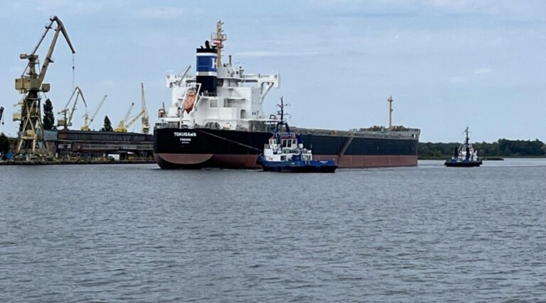 MV Tokugawa z 50 tys. ton śruty sojowej wszedł do portu / Portal Stoczniowy