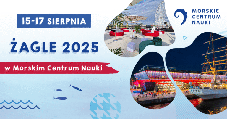 Żagle 2025 w Szczecinie – żaglowce i okręty w wakacyjnej odsłonie / Portal Stoczniowy