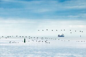 Terminal LNG w Zatoce Gdańskiej: kamienie milowe osiągnięte / Portal Stoczniowy