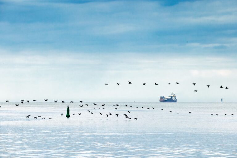 Terminal LNG w Zatoce Gdańskiej: kamienie milowe osiągnięte / Portal Stoczniowy