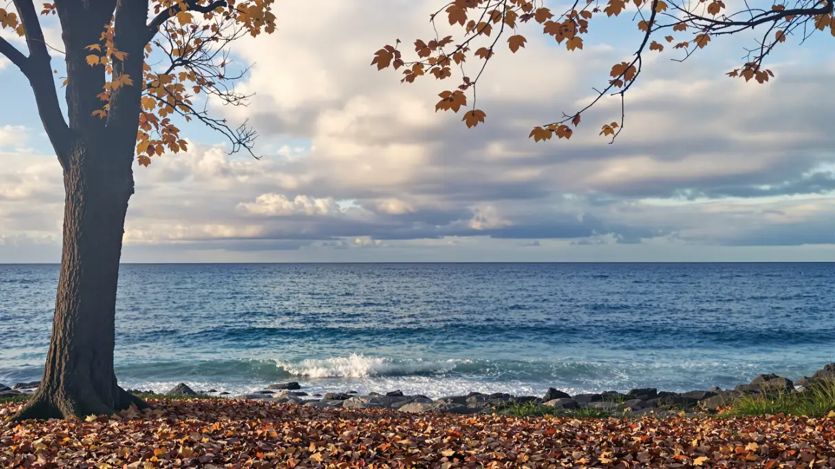 Jesienny Bałtyk – pusta plaża, fale i liście na brzegu / Portal Stoczniowy