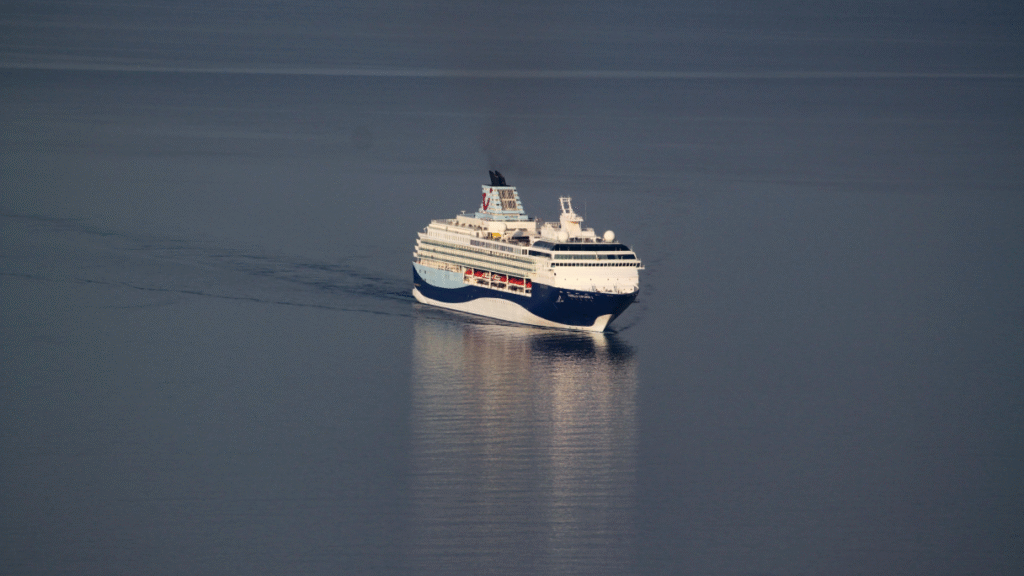 Dramatyczny incydent na wycieczkowcu Marella Explorer 2 / Portal Stoczniowy