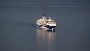 Dramatyczny incydent na wycieczkowcu Marella Explorer 2 / Portal Stoczniowy