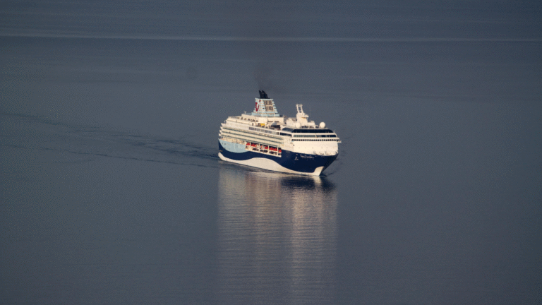 Dramatyczny incydent na wycieczkowcu Marella Explorer 2 / Portal Stoczniowy