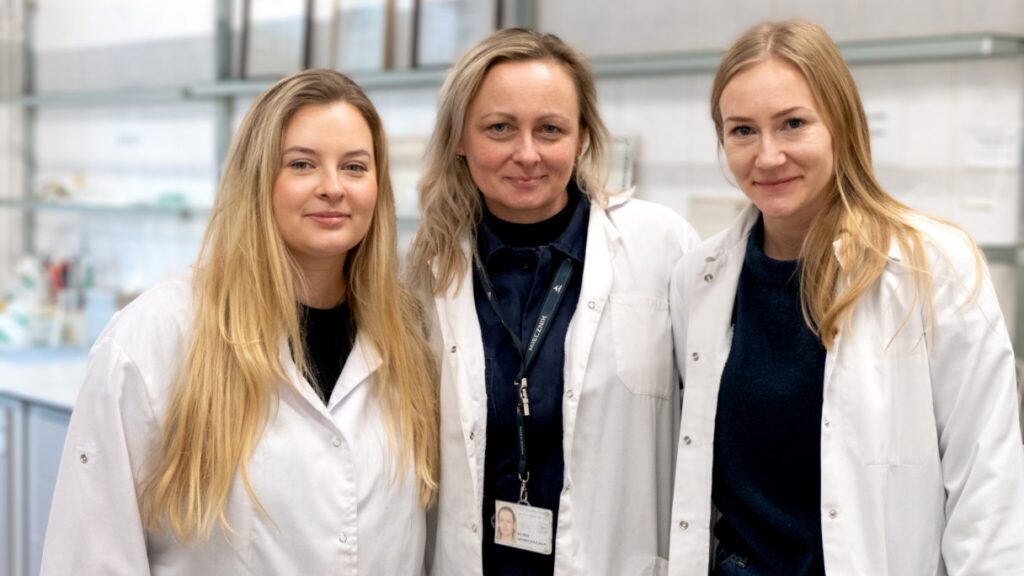 PGZ Stocznia Wojenna w 2025 roku: czas decyzji, inwestycji i produkcji / Portal Stoczniowy